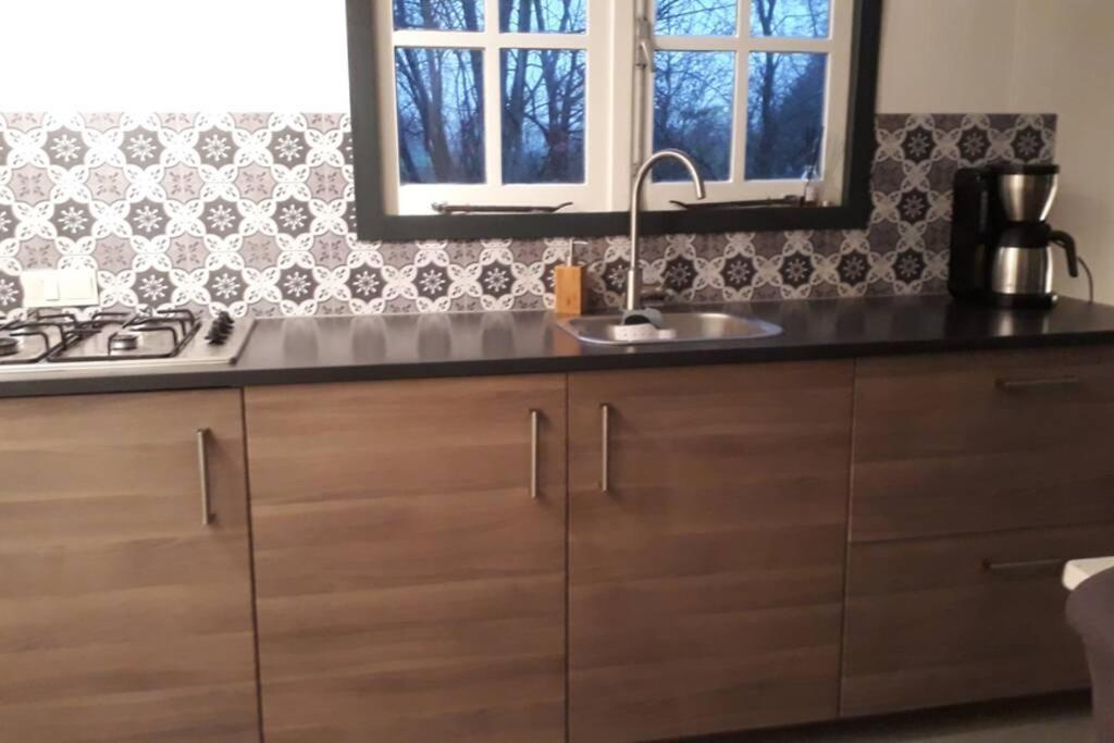 Chalet Het Wollinghuisje Vlagtwedde Bagian luar foto