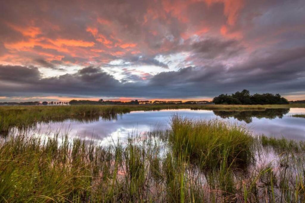Chalet Het Wollinghuisje Vlagtwedde Bagian luar foto