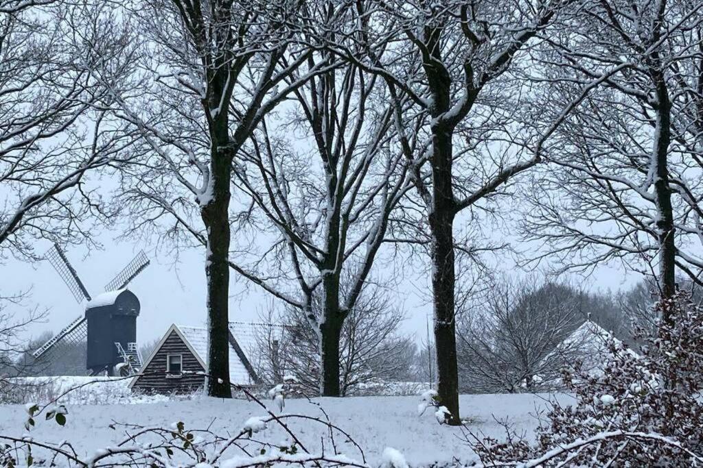 Chalet Het Wollinghuisje Vlagtwedde Bagian luar foto